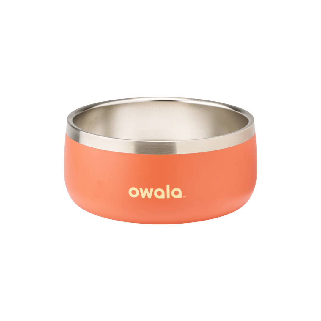 Pet Bowl - Keep the day within reach.