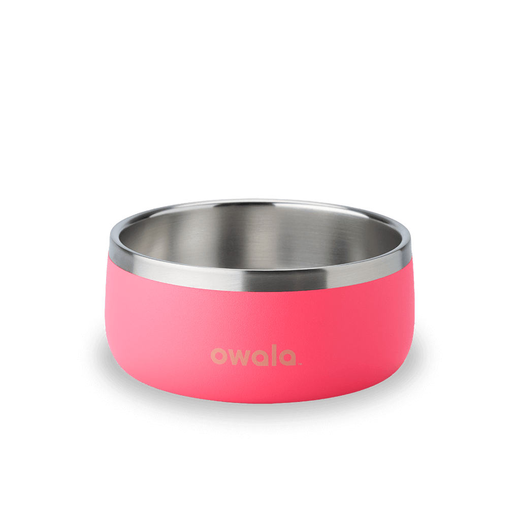 Pet Bowl - Keep the day within reach.