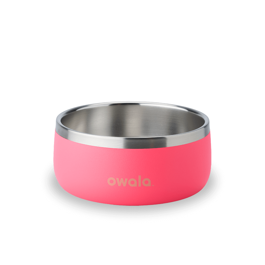 Pet Bowl - Keep the day within reach.
