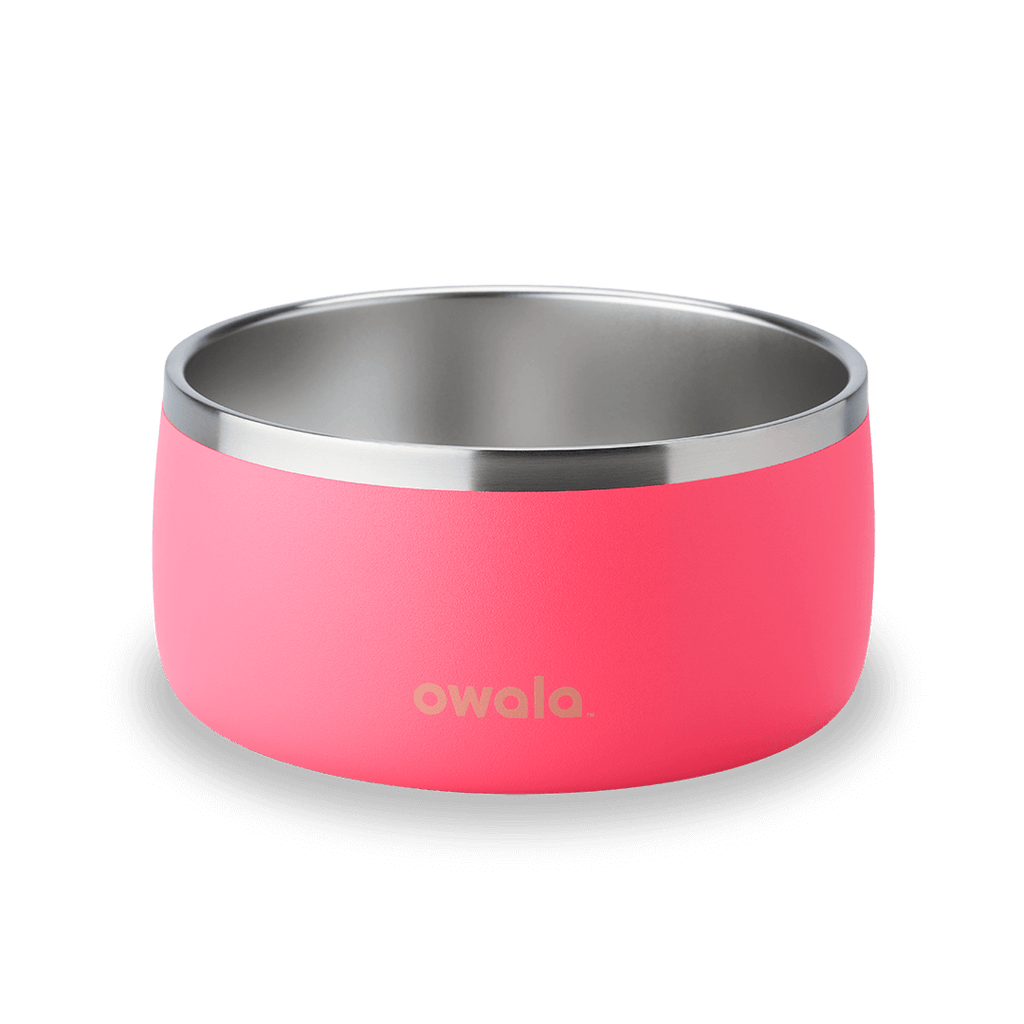 Pet Bowl - Keep the day within reach.