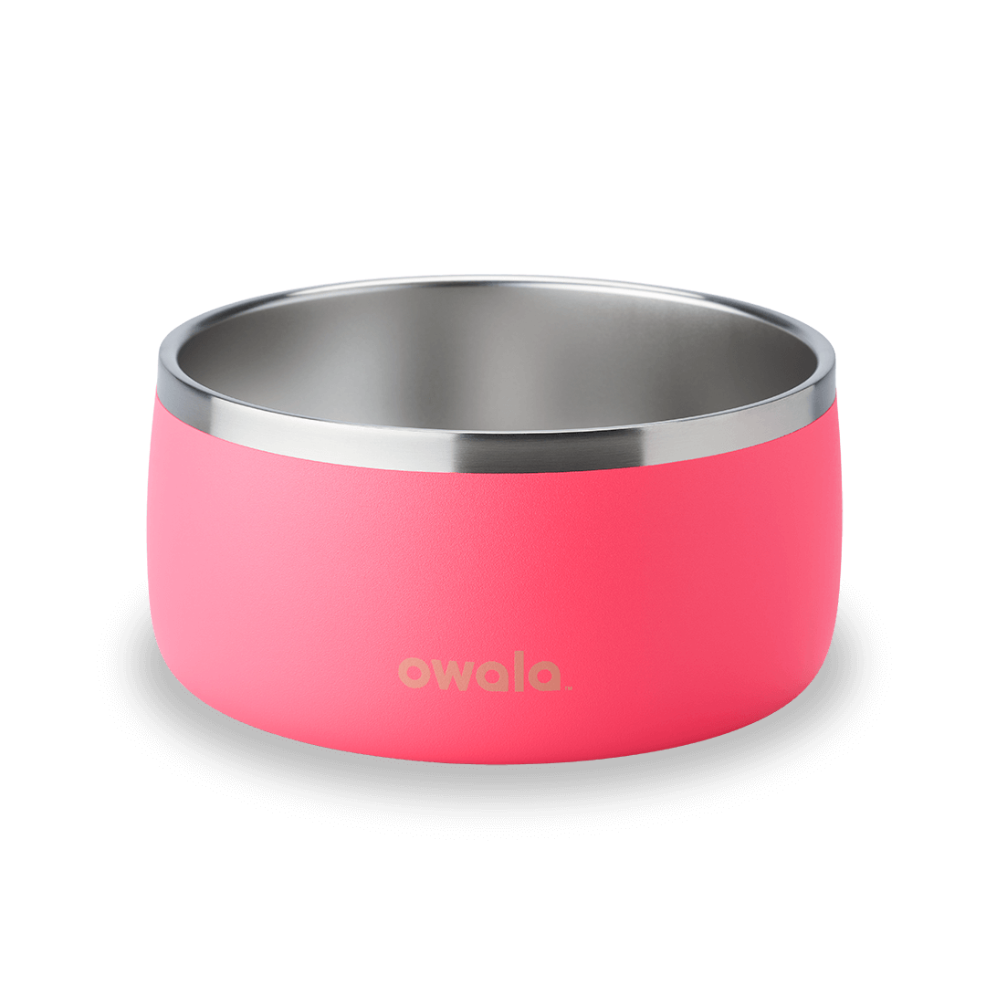 Pet Bowl - Keep the day within reach.