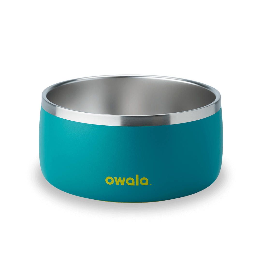 Pet Bowl - Keep the day within reach.