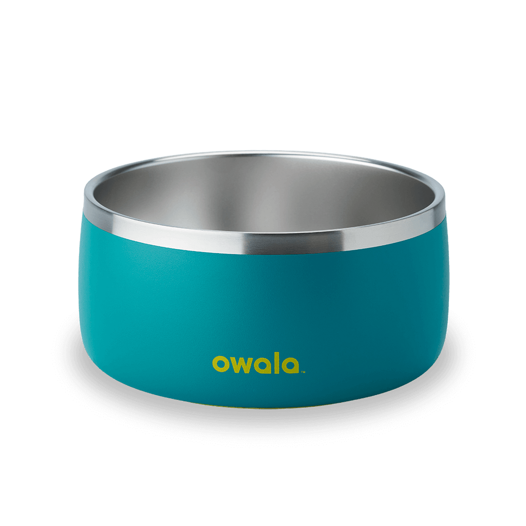 Pet Bowl - Keep the day within reach.