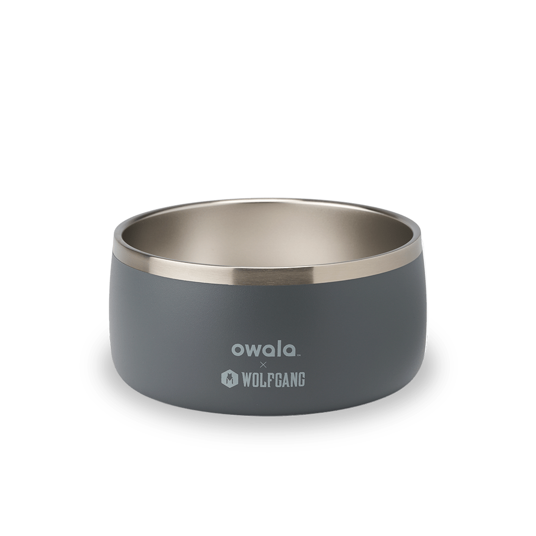 Pet Bowl - Keep the day within reach.